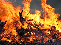 200px midsummer bonfire closeup