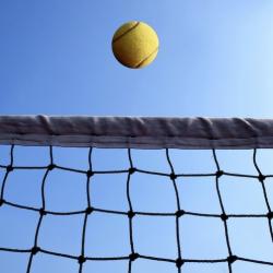 the net with ball