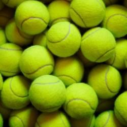 the tennis ball