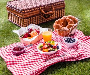 Picnic